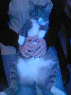 Minou...
